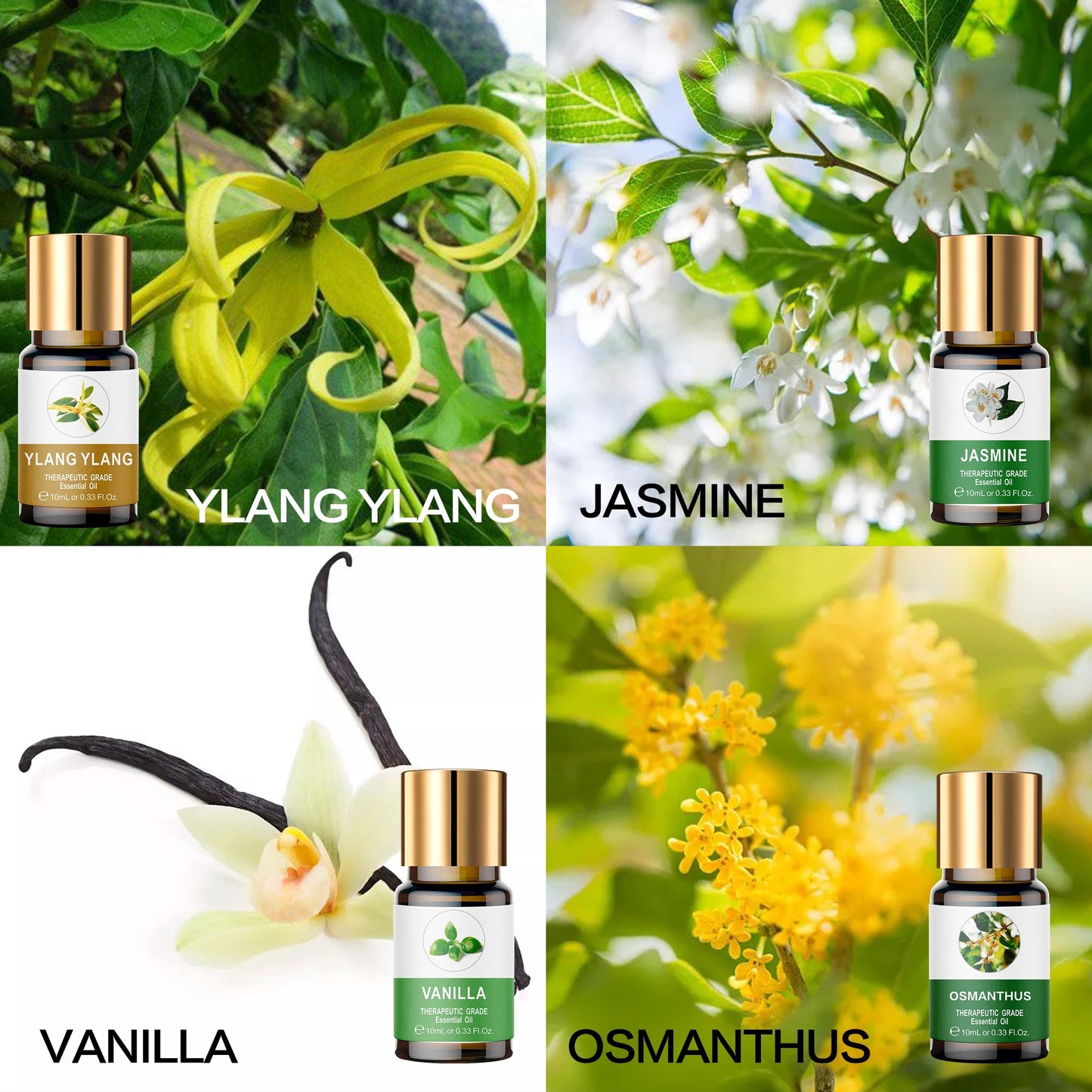 Essential Oil Set 8 Bottles 0.34oz Wooden Box Lavender Mint Vanilla Sweet Orange Jasmine Eucalyptus Ylang Ylang Osmanthus