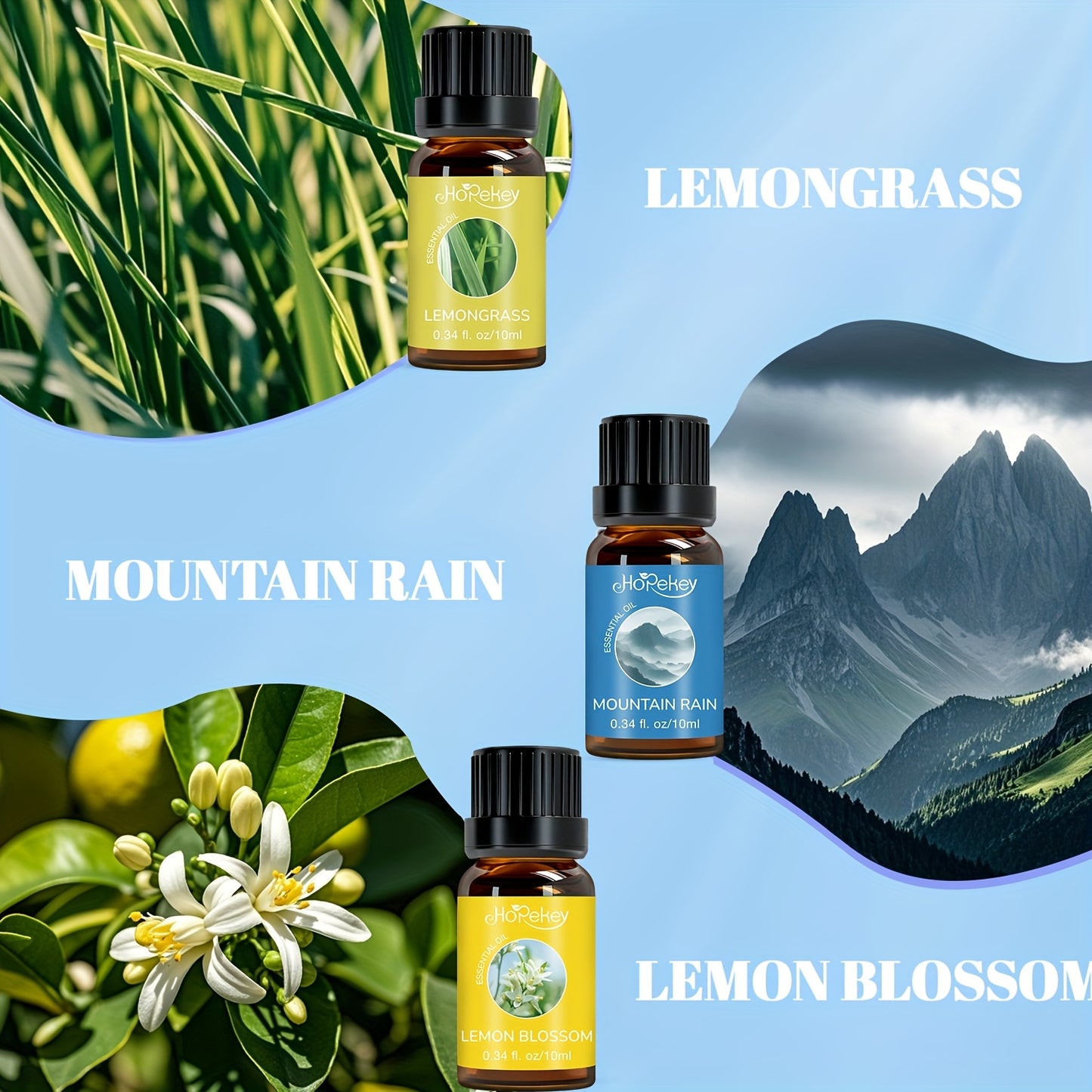6 Piece Essential Oil Set Box Butler Themed Gift Box Ocean Breeze Lemongrass Lemon Blossom Cleaning Mountain Rain Sweet Pea Multiple Scents Unique Fragrance Long Lasting Scent Party Small Gift Party Surprise
