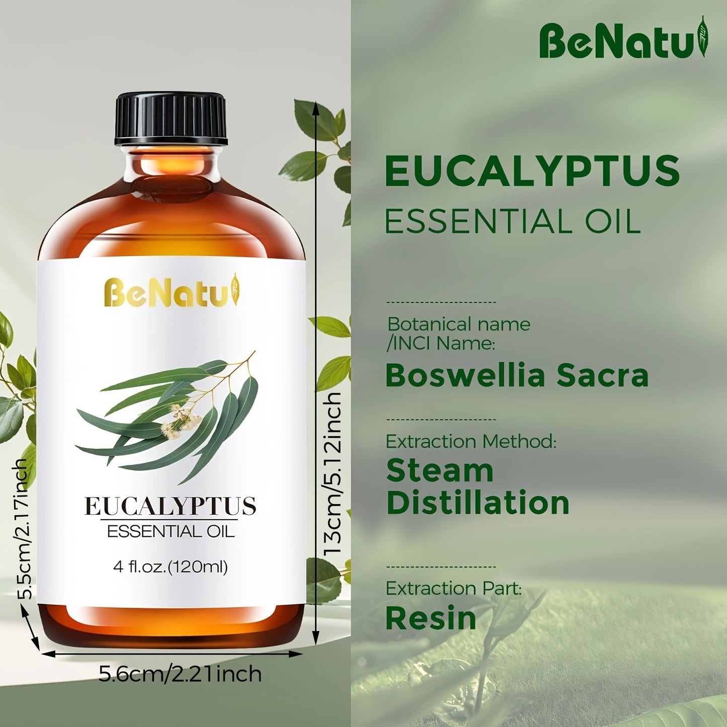 2 Pieces 4.06 Ounce Eucalyptus Essential Oil for Moisturizing Facial and Body Massage Oil Deep Nourishing Suitable for Body Face Hair DIY Gifts