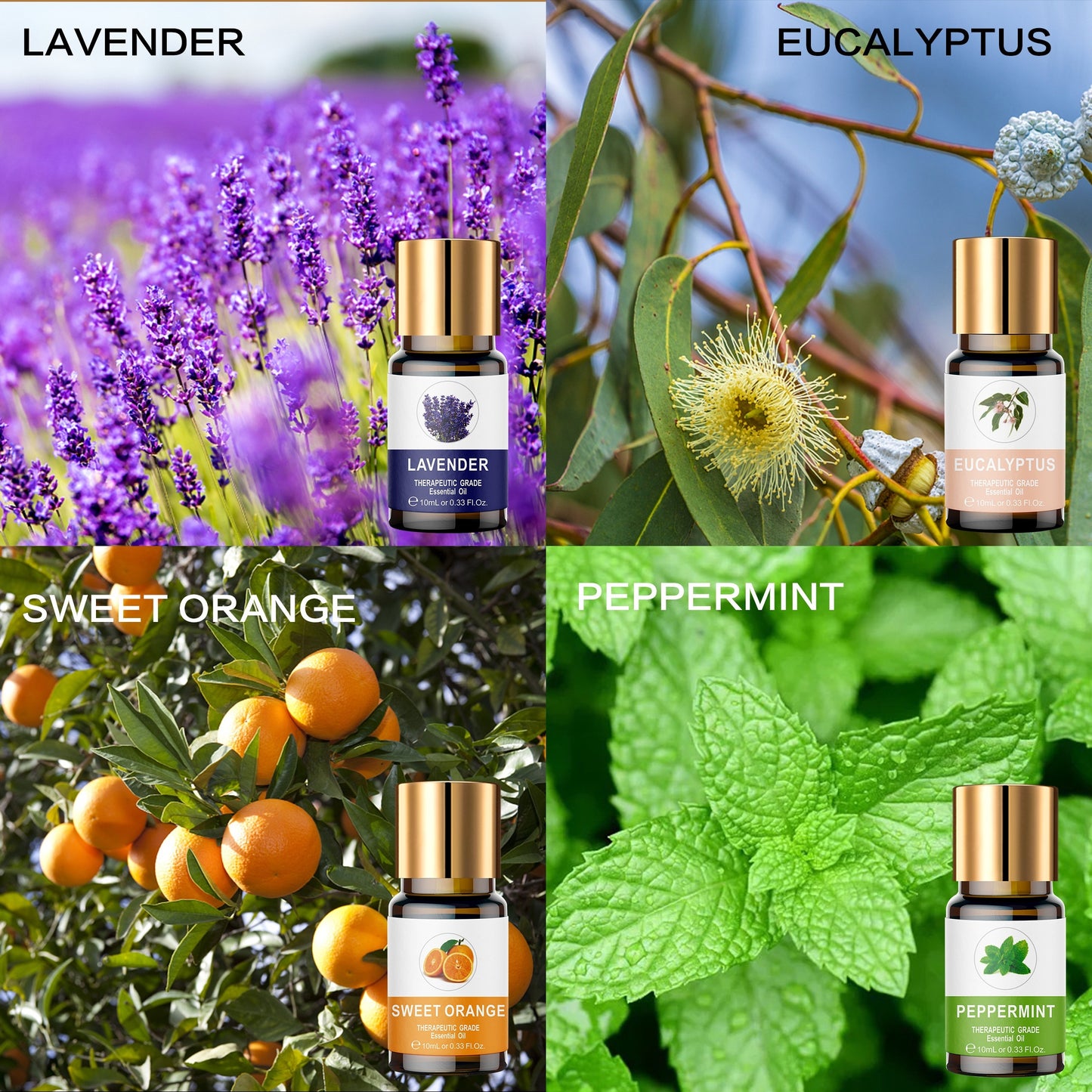 Essential Oil Set 8 Bottles 0.34oz Wooden Box Lavender Mint Vanilla Sweet Orange Jasmine Eucalyptus Ylang Ylang Osmanthus