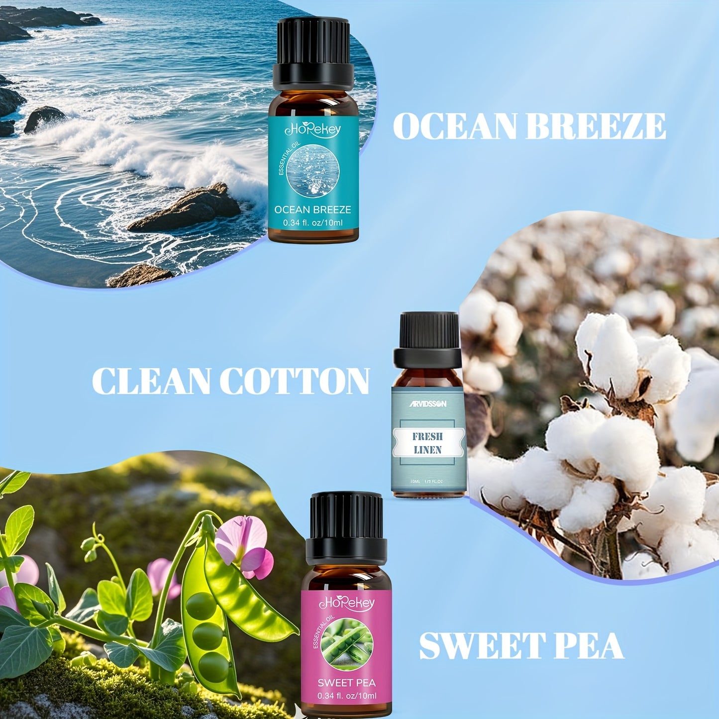 6 Piece Essential Oil Set Box Butler Themed Gift Box Ocean Breeze Lemongrass Lemon Blossom Cleaning Mountain Rain Sweet Pea Multiple Scents Unique Fragrance Long Lasting Scent Party Small Gift Party Surprise