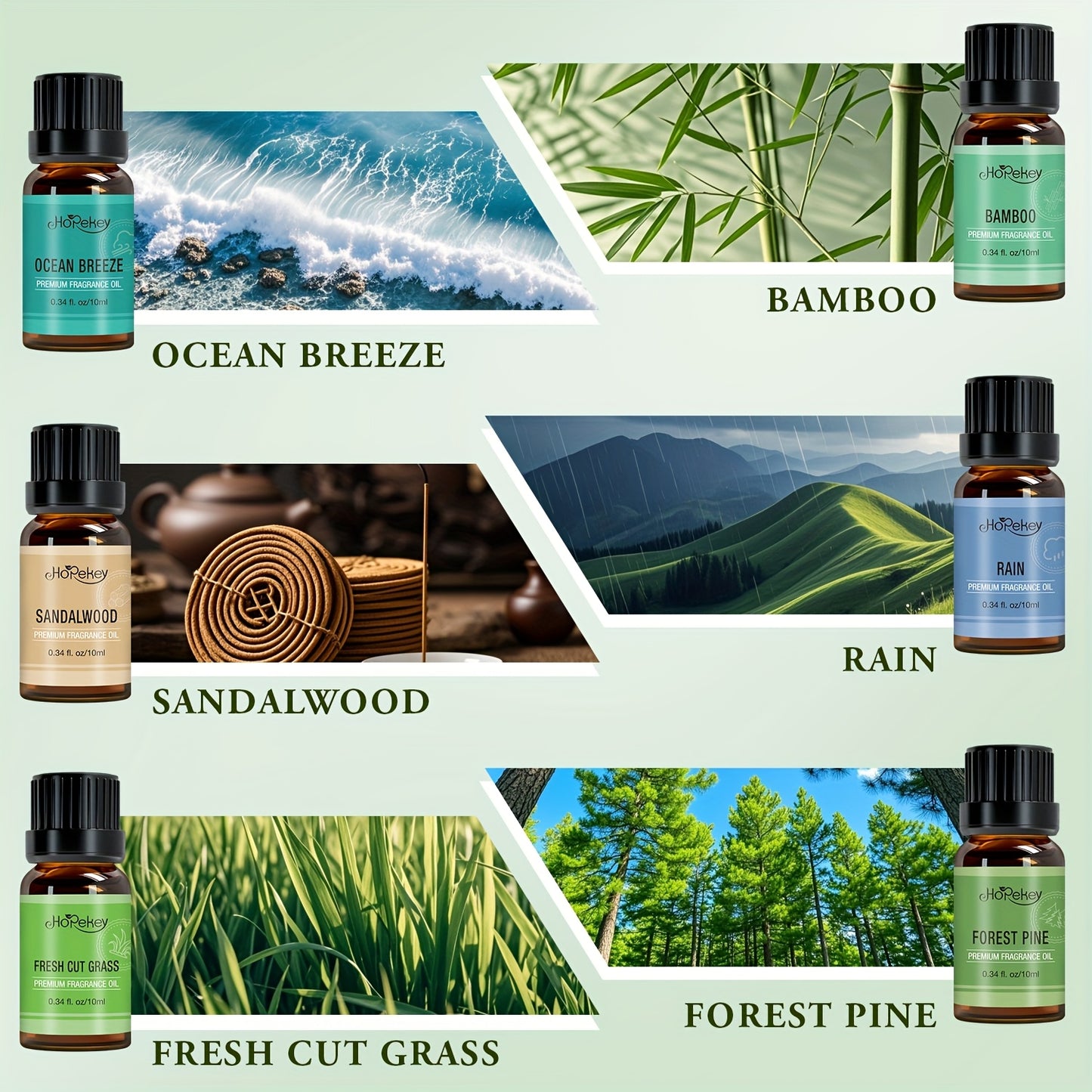Natural 6 Piece Essential Oil Set Ocean Breeze Pine Sandalwood Rain Bamboo Unique Fragrances Long Lasting Aromatherapy Gift Set